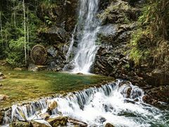 -九龙江国家森林公园