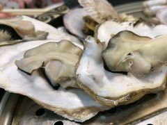 -鼓歌海鲜舫·手抓海鲜(大学城店)