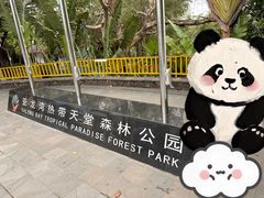-亚龙湾热带天堂森林公园