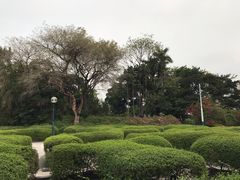 -九龙公园