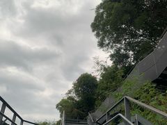 -福道
