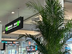 -厦门高崎国际机场-T3航站楼