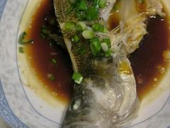 -天鹅到家·保姆月嫂育儿嫂(朝阳店)