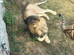 -泉州海丝野生动物世界