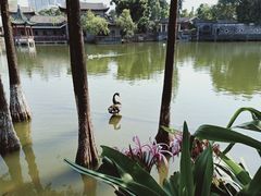 -东莞市可园博物馆