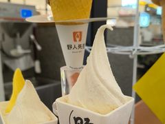 -野人先生Gelato(上海长宁龙之梦店)