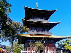 -广富林郊野公园
