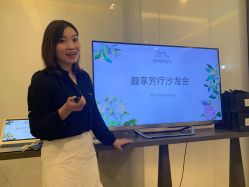 -奥斯芬欧系贵族SPA