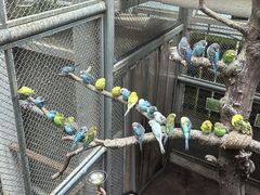 -正佳雨林生态植物园