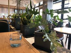 -Bco豆库(星耀天地店)