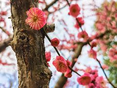-广富林郊野公园