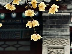 -西安化觉巷清真大寺