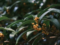 -杭州少年儿童公园