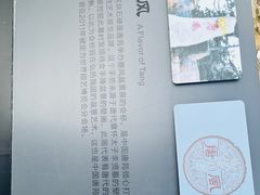 -中国唐苑