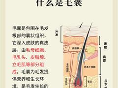 -中国农业大学(西校区)
