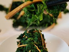 香干拌桑牙-大鸭梨烤鸭(甘家口店)