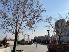 -滨河世纪广场公园