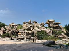 -石家庄市植物园