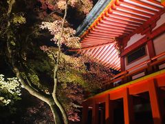 -醍醐寺