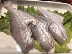 -懂食汇自助火锅
