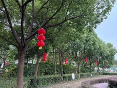 -菊园百果园