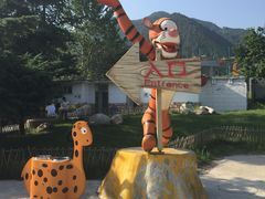 -西安秦岭野生动物园