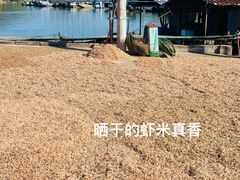 -苏州太湖湖滨国家湿地公园