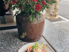 -Apollo·西班牙小酒馆(安福路店)