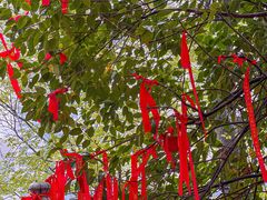 -宝通禅寺