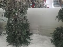 -世界之窗阿尔卑斯冰雪世界