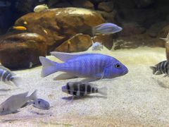 -上海海洋水族馆