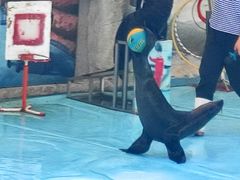 -泉州海丝野生动物世界