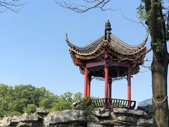 -顺峰山公园