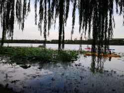 -剑鱼皮划艇俱乐部(石湖基地)