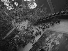 -铜来聚老北京涮肉(恒隆广场店)