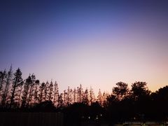 -前小桔亲子创意农场·草莓采摘·露营烧烤