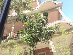 -晋江五店市传统文化旅游区