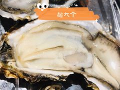 -蚝英雄·自助烤蚝(建设路店)