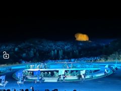 -鼎盛王朝康熙大典实景演出