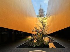 -龙华素斋(龙华路店)