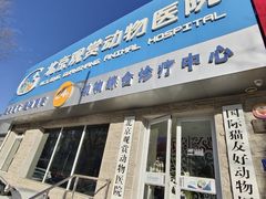 -北京观赏动物医院·24小时大型综合·猫专科·异宠专科
