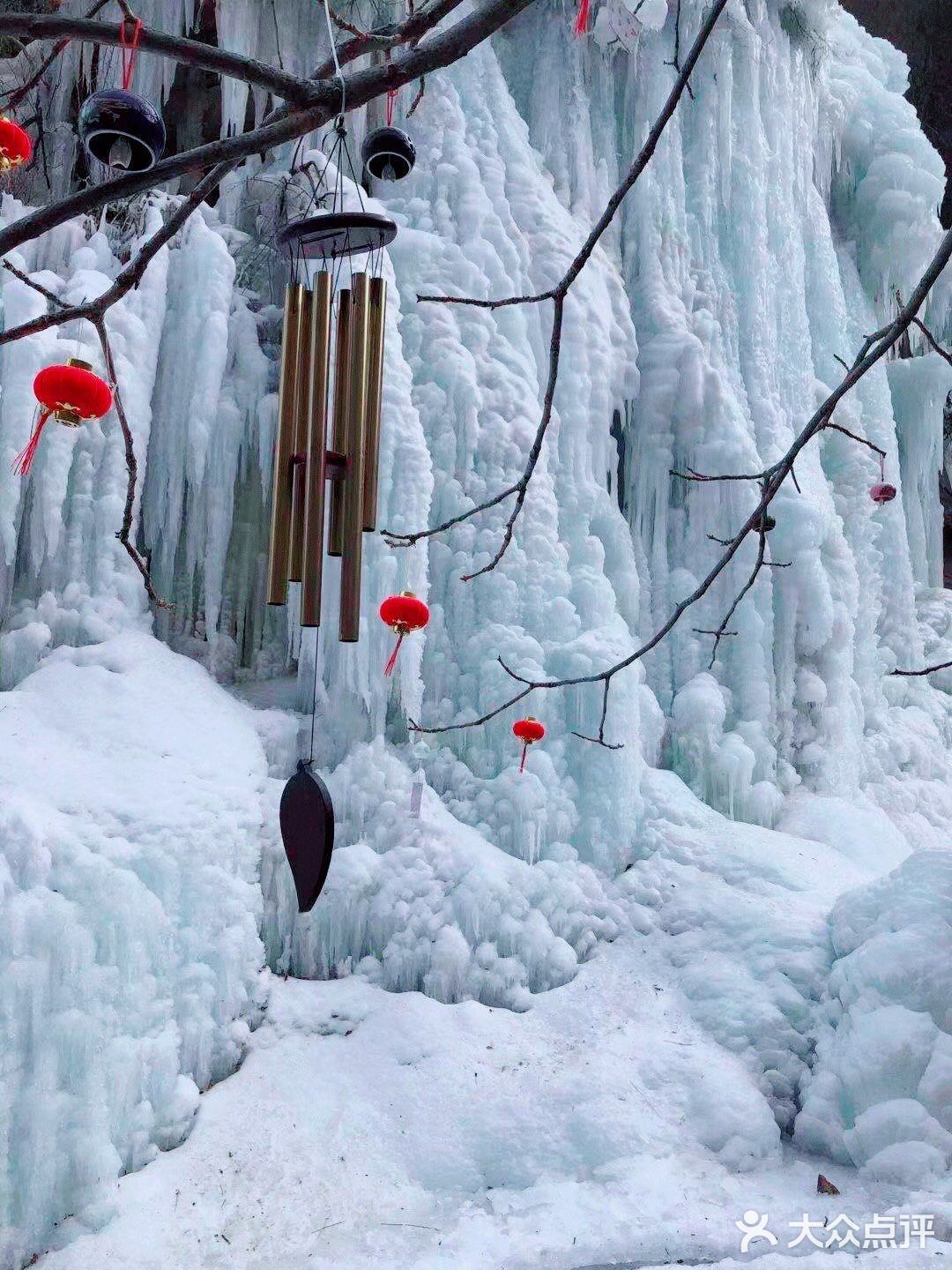 拍照玩耍，赏景，放松心情迎接牛年的到来