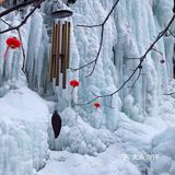 拍照玩耍，赏景，放松心情迎接牛年的到来