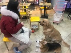 -汪说·狗咖(旺城大厦店)