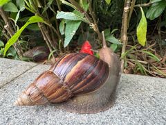 -东澳岛