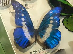 -蝴蝶泉公园