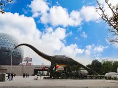 -陕西自然博物馆