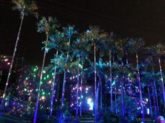 -三亚红色娘子军演艺公园景区