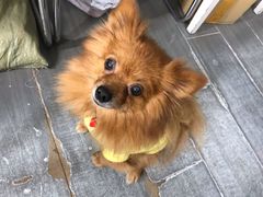 -A+摄影