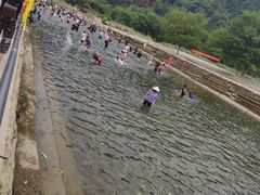 -杨家寨